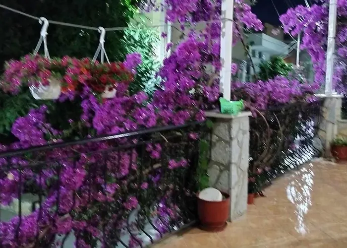 Elena Apartament