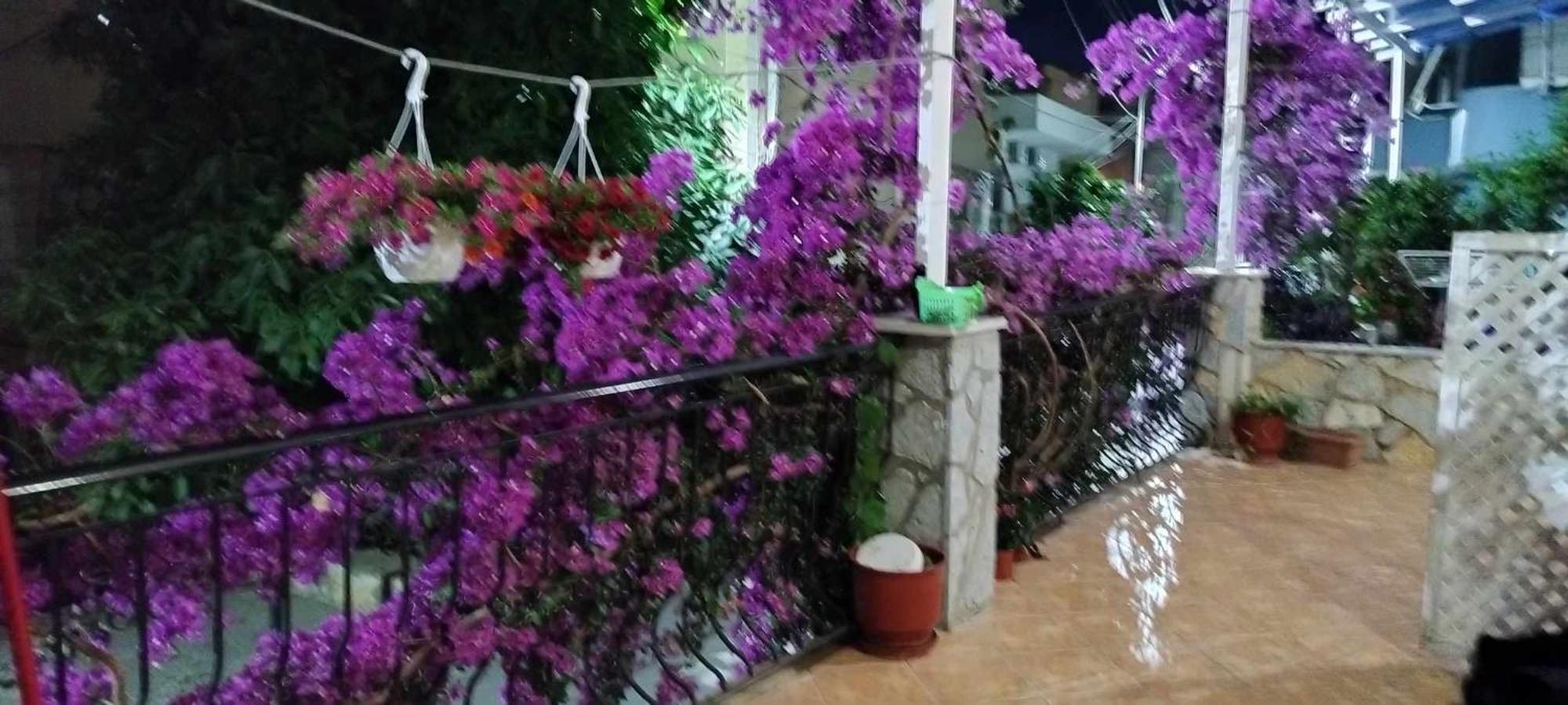 Elena Apartment Sarande